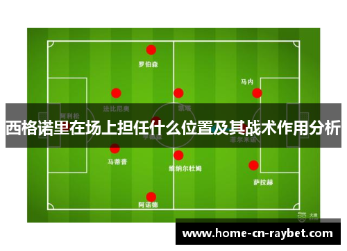 西格诺里在场上担任什么位置及其战术作用分析