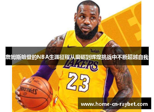 詹姆斯哈登的NBA生涯征程从磨砺到辉煌挑战中不断超越自我