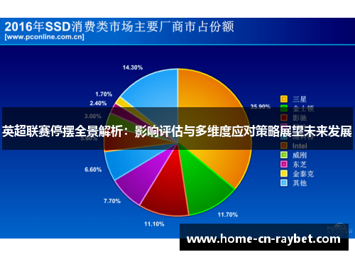 英超联赛停摆全景解析:影响评估与多维度应对策略展望未来发展 英超联赛停摆全景解析:影响评估与多维度应对策略展望未来发展