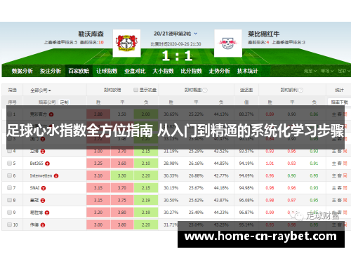 足球心水指数全方位指南 从入门到精通的系统化学习步骤 足球心水指数全方位指南 从入门到精通的系统化学习步骤